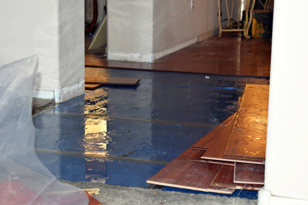 Professional Water Damage Restoration technician working in Opa-locka, FL